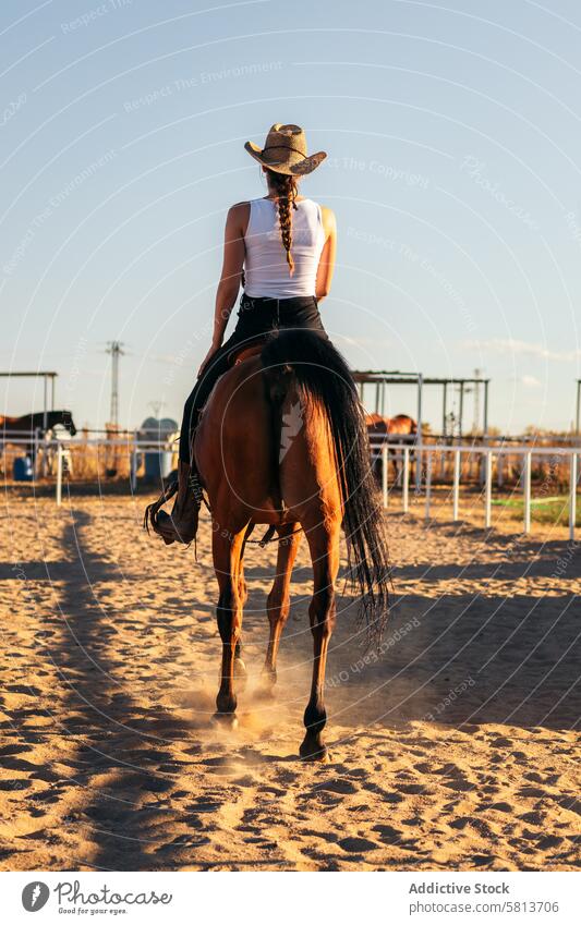 Frau reitet auf einem Pferd in einem Reitsportzentrum Natur Tier Reiterin Bauernhof pferdeähnlich striegeln Pferdestall Hengst Ranch Viehbestand Freund Haustier