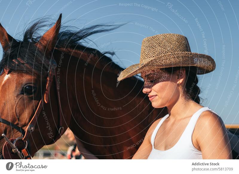Frau kümmert sich um ihr braunes Pferd in einem Reitsportzentrum Natur Tier Reiterin Bauernhof pferdeähnlich striegeln Pferdestall Hengst Ranch Viehbestand