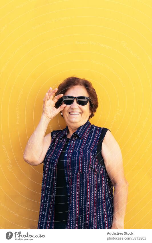 Stilvolle alte Frau mit Sonnenbrille und bunter Kleidung Textfreiraum stylisch Senior Lifestyle Menschen Kaukasier Glück Dame Holunderbusch Lächeln