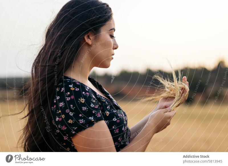 Porträt einer hübschen jungen Frau mit langen Haaren auf dem Lande Sonnenblume Natur Feld Menschen Sommer Ackerbau im Freien Blume gelb Glück Landschaft