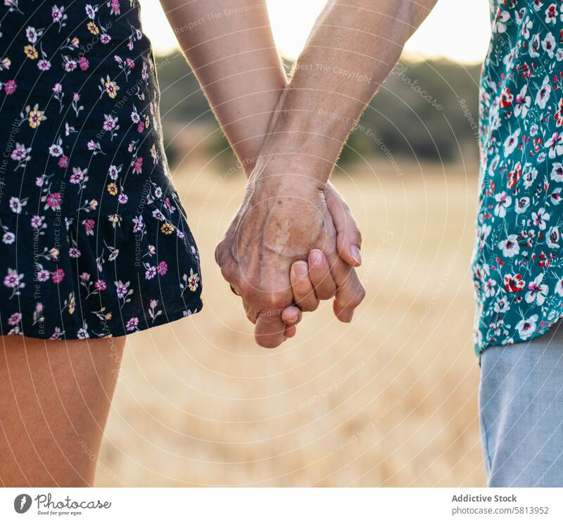 Zwei Generationen von Frauen halten sich an den Händen: Großmutter und Enkelin halten sich an den Händen Sonnenblume älter Natur Feld Menschen Sommer Ackerbau