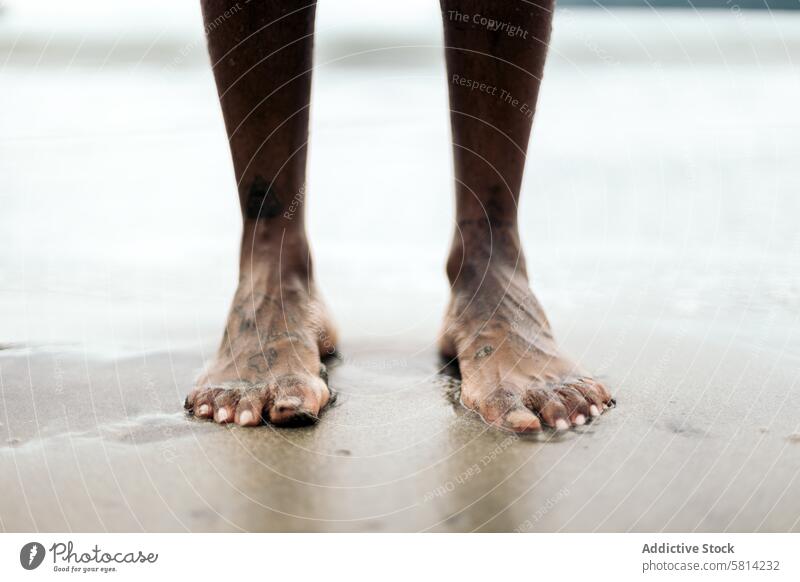 Tätowierte Füße im Sand am Strand. Fuß Tattoo Urlaub Nahaufnahme reisen Freiheit Tourist Haut Menschen menschlich Körper Barfuß Leben Natur sandig Mann männlich