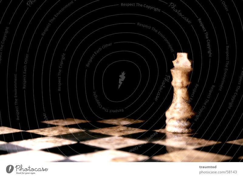 Last Man Standing II. schwarz weiß Muster Pferd Spielen Gesellschaftsspiele Einsamkeit Schachbrett chess Schwarzweißfoto schwerzweiss Makroaufnahme König Dame