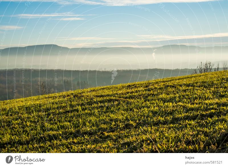 Schwäbische Alb im Nebel schön Tourismus Natur Wolken Sonne Winter Wetter Wiese blau grün weiß Umweltschutz Hochnebel Dunst Vordergrund Himmel Mittelgebirge