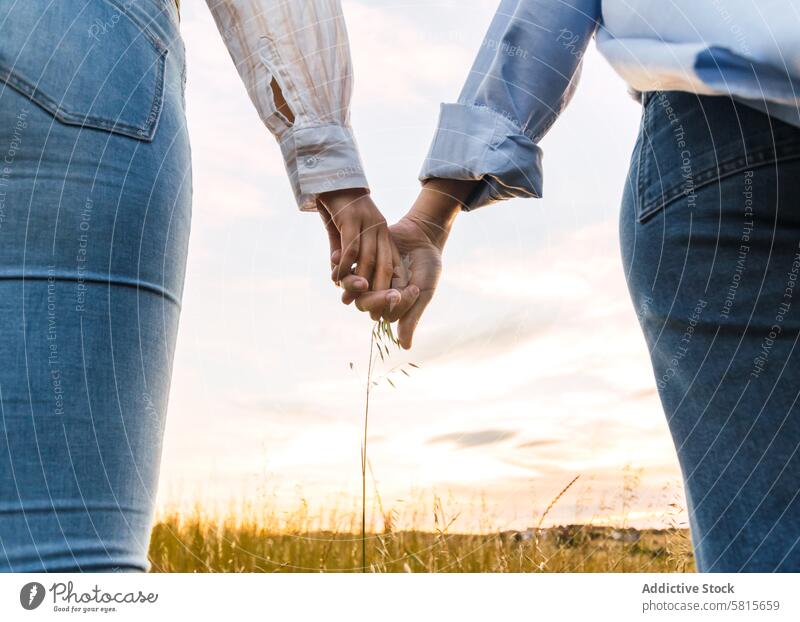 Paar hält Hände auf einem schönen Feld bei Sonnenuntergang Natur Beteiligung Liebe Sommer Menschen Frau romantisch Fröhlichkeit Lifestyle zwei Partnerschaft