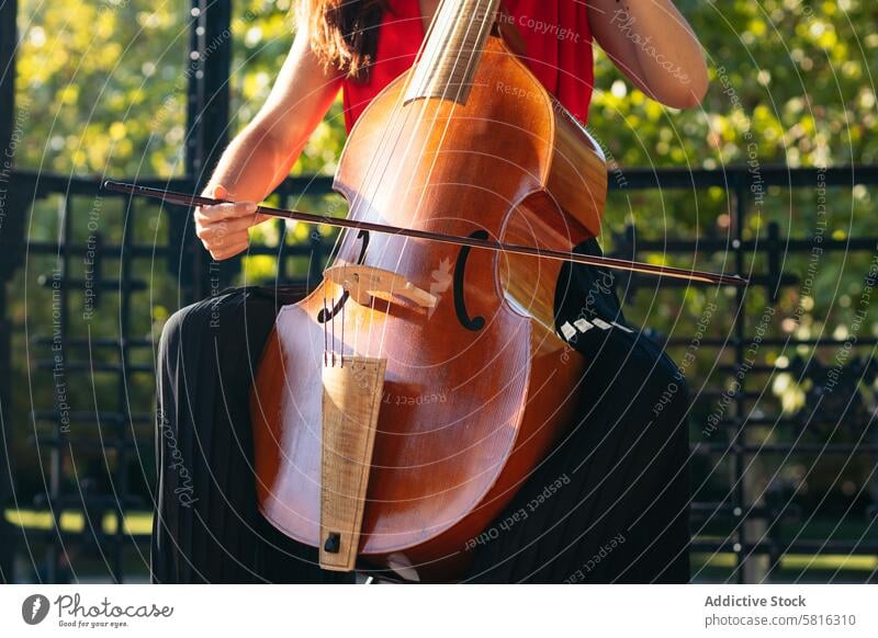 Ausgeschnittene Aufnahme einer nicht erkennbaren Frau, die im Freien Cello spielt Musiker Instrument Konzert Leistung Künstler Musical spielen Klassik Geige