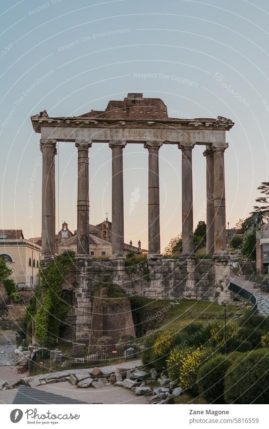 Antike Ruinen des römischen Forums, Rom, Italien Römer römisches Forum antik antike Ruinen Wahrzeichen alt Architektur berühmt Gebäude Historie reisen Denkmal