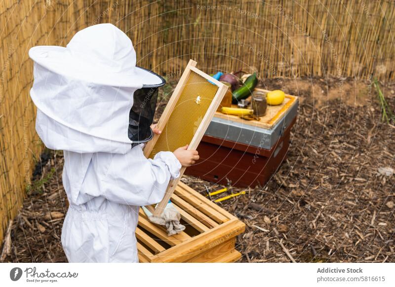 Kind mit Bienenwaben im Bienenhaus Bienenkorb Wabe Bienenstock Tracht behüten Liebling sa