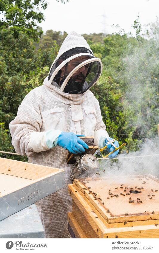 Männlicher Imker bei der Verwendung eines Bienenräuchergeräts im Bienenstock Mann Raucherin Dunst ausräuchern Bienenkorb männlich Wabe Bienenzucht Uniform