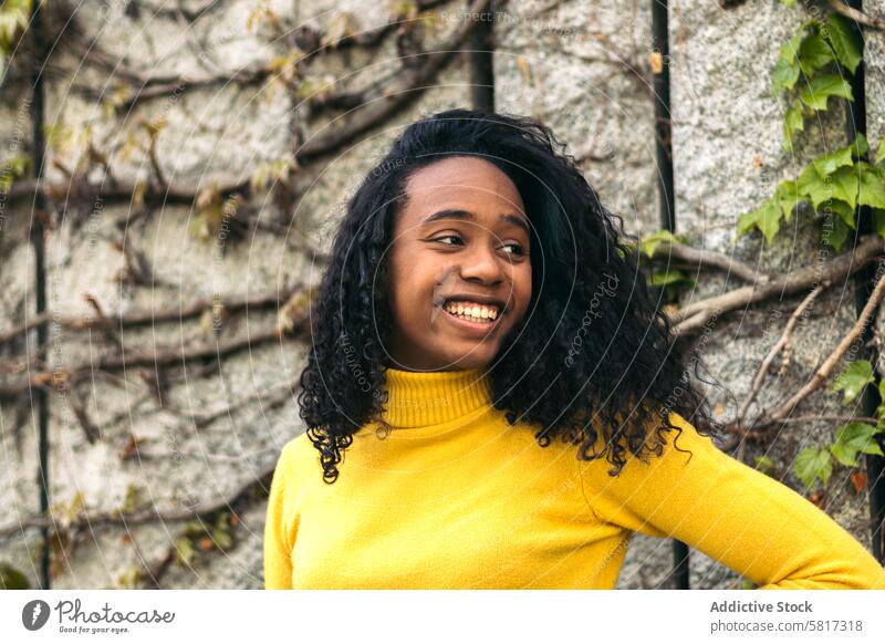 Schöne schwarze junge Frau lächelnd Porträt schön Glück Afrikanisch lässig heiter Menschen Amerikaner eine Erwachsener attraktiv Blick Mädchen Lifestyle Person