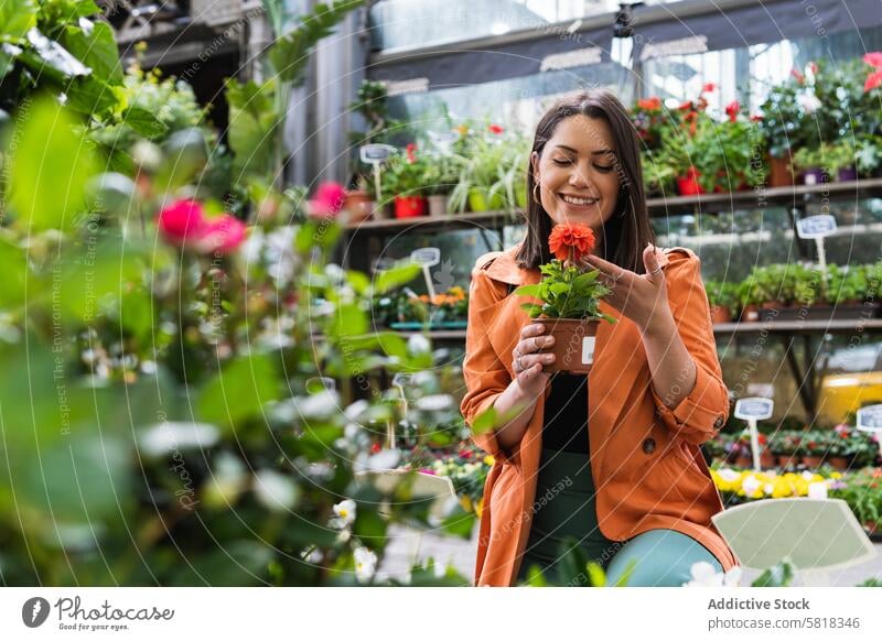 Lächelnde Frau wählt Topfblume in Gartenmarkt Markt Zentrum Blume wählen pflücken eingetopft Blüte Storchschnabel Blütezeit Pflanze Gärtner Sommer natürlich