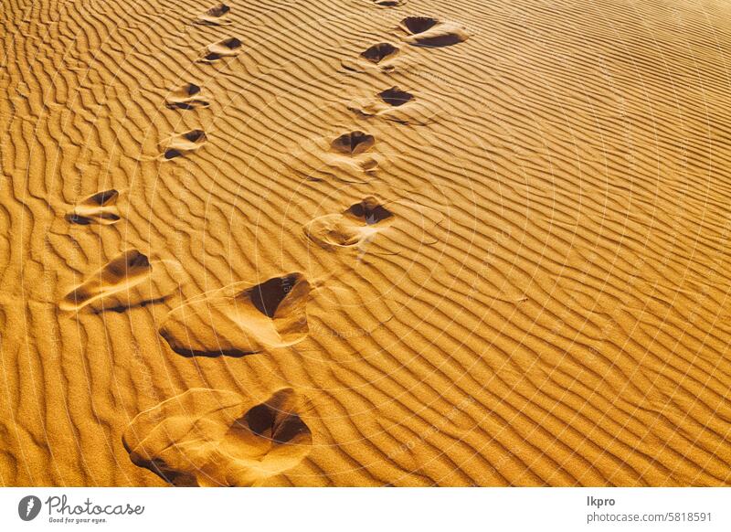 im Oman die alte Wüste und das leere Viertel abstrakte Textur Linie Welle gelb trocken Hintergrund Strand schwarz Unschärfe gebrochen braun Ton Klima