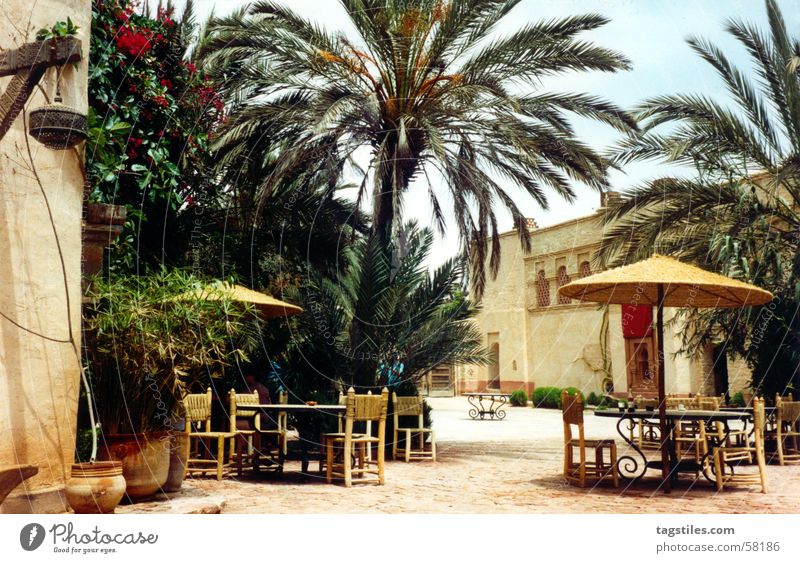 Marokko - Agadir nachgebaut Stadt Strand Sommer Physik träumen Ferienhaus Lehm Haus Konstruktion Atlantik Ferien & Urlaub & Reisen ruhig Palmenwedel beige