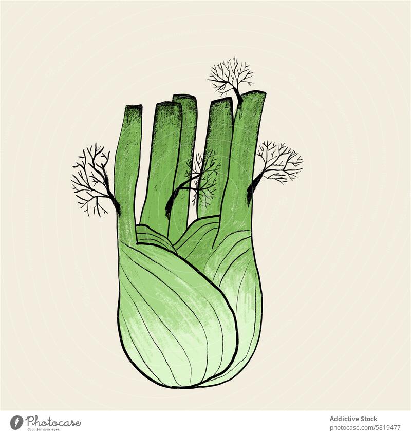 Fenchelknolle Illustration auf beige Hintergrund Grafik u. Illustration Knolle handgezeichnet grün Textur Wedel Gemüse organisch natürlich Lebensmittel Diät