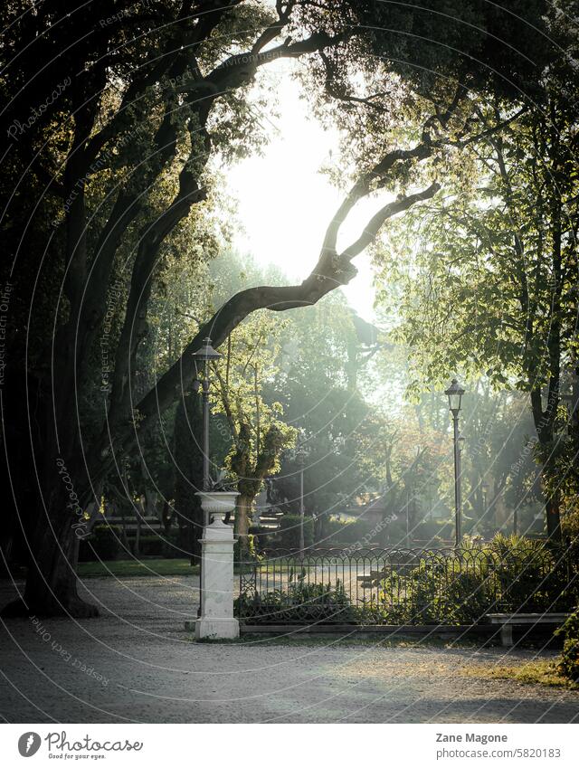 Villa Borghese Gärten, öffentlicher Park in Rom, Italien, frühe Morgensonne Gärten der Villa Borghese Römer Garten Morgendämmerung Sommer Architektur Natur