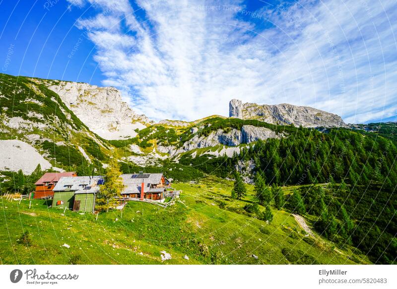 Idyllische Landschaft an der Tauplitzalm in Österreich. Steiermark Natur Berge Alm Panorama Wolken Bundesland Steiermark Schönes Wetter Farbfoto