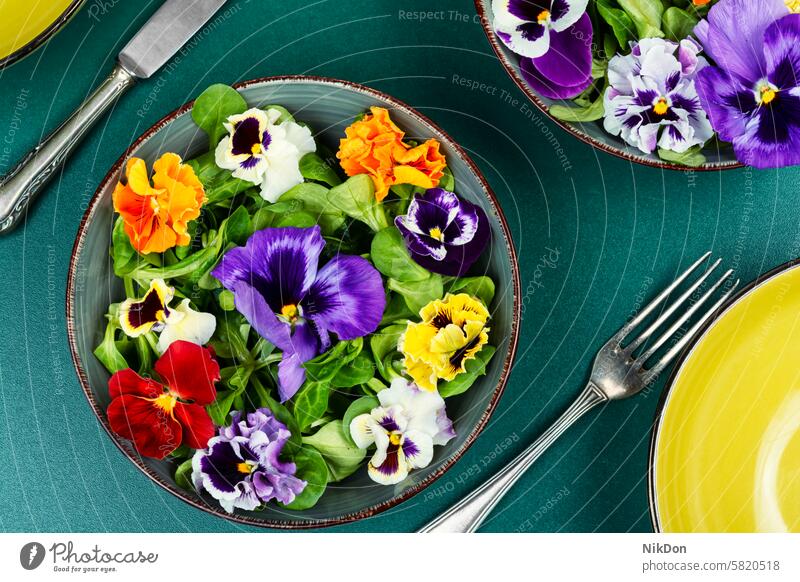 Salat aus essbaren Blumen, vegetarisches Essen. Lebensmittel Frühling Natur Ackerstiefmütterchen violette Blume Gesunde Ernährung saisonbedingt Kräuterbuch