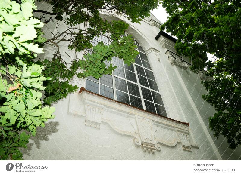 großes Fenster einer Kirche zwischen den grünen Blättern großer Bäume Kirchenfenster eingerahmt Stadtansicht Stadtkirche Sakralbau Religion & Glaube Licht