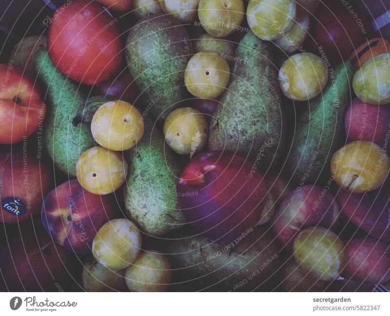 Klein & dreckig reif Ernte stilvoll Frucht Lagerung süß Foodfotografie Nahaufnahme lecker vitaminreich Bioprodukte natürlich Lebensmittel Gesundheit frisch