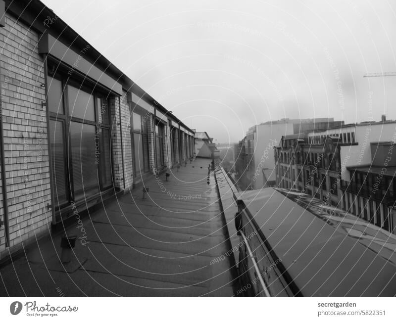 Über den Dächern von Hamburg Schwarzweißfoto grau Dämmerung Stimmung Dach Architektur Altbau Fenster gefährlich hoch Nebel nass regnerisch Wetter Regen