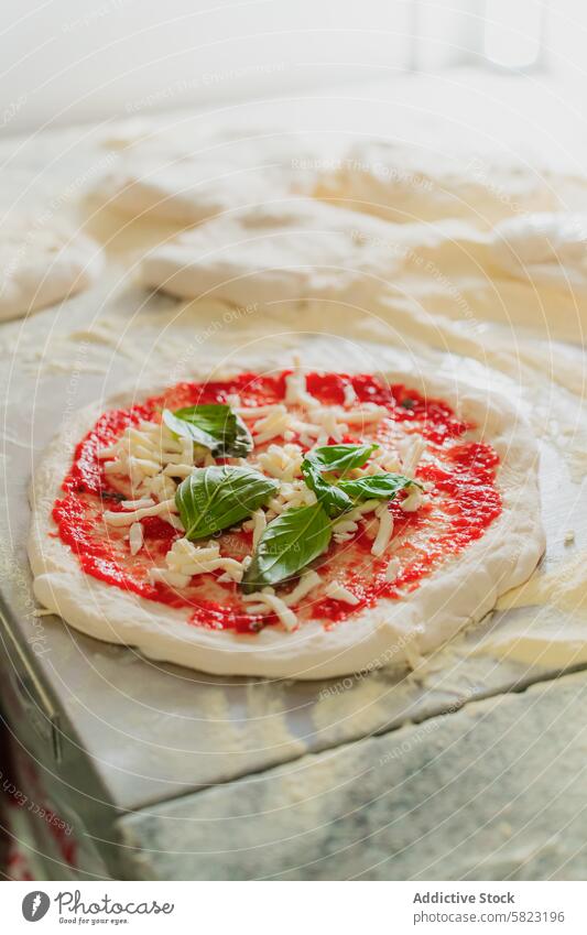 Frischer Pizzaboden mit Tomatensauce und Käse wird zubereitet Basis Teigwaren Basilikum Vorbereitung Essen zubereiten Lebensmittel Pizzeria italienische Küche