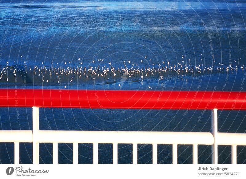 Möwen auf einer Sandbank ümgebn von blauem Wasser.Im Vordrgrund eine weisse und knallrote Schiffsreeling Wattenmeer Schifffahrt Fähre Nordsee blau/rot Meer