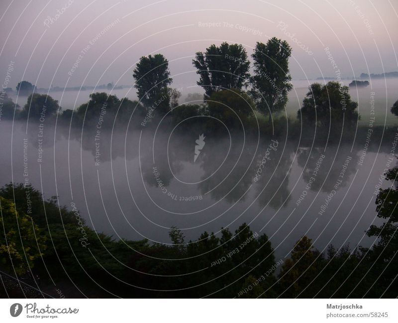 Neblige Reflexionen Baum Nebel See Reflexion & Spiegelung Sonnenaufgang mystisch Romantik Landschaft Fluss Wasser Himmel Idylle Morgen Morgendämmerung