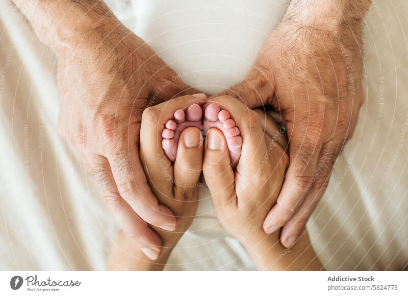 Neugeborene Babyfüße, die von den Händen der Eltern gewiegt werden neugeboren Fuß Pflege Liebe Familie binden Zärtlichkeit Schutz Elternschaft berühren Finger