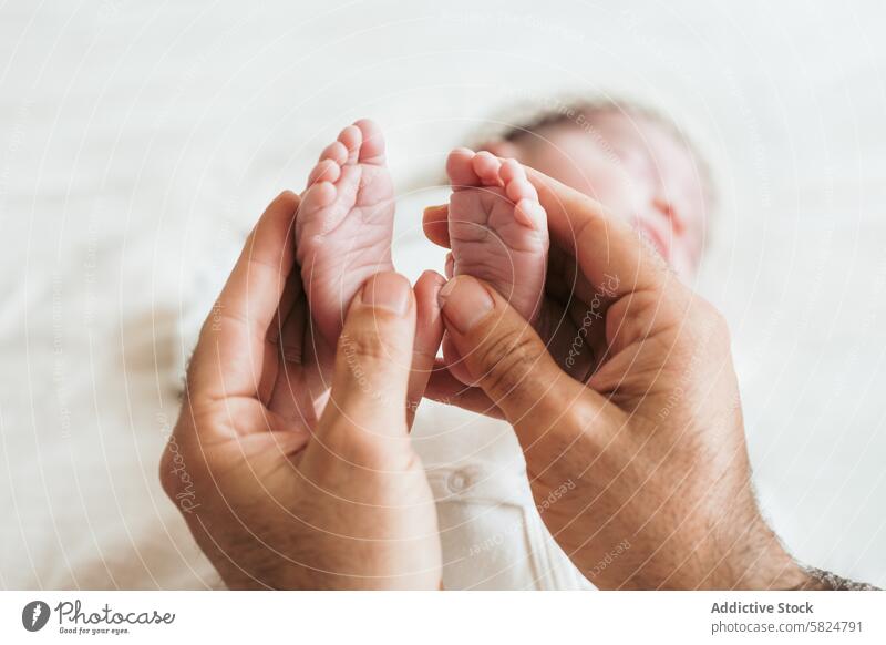 Sanfte Berührung der Füße des Neugeborenen in den Händen der Eltern Baby neugeboren Fuß Hand berühren sanft Pflege Liebe Säugling filigran Angebot Porträt Kind