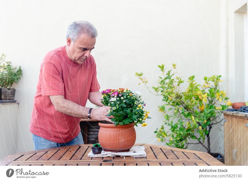 Älterer Mann bei der Gartenarbeit an einem sonnigen Tag Blume Topf im Freien Senior reif Sonnenlicht Tisch Holz üppig (Wuchs) Grün rot Hemd Beschneidung Pflege
