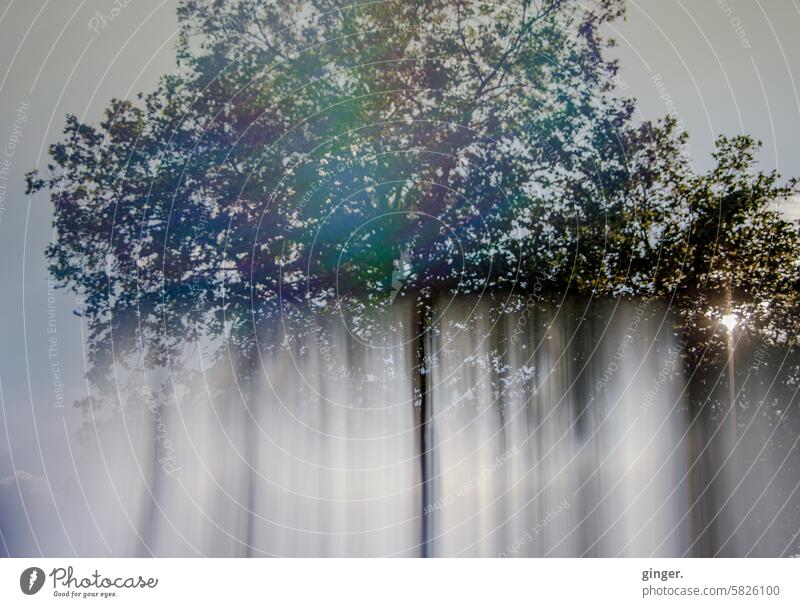 Baum - Fotografie mit Prismen und Filtern Blätter Baumkrone Schlieren auslöschen zerlaufen Linien Natur Umwelt Außenaufnahme Himmel Farbfoto Sonnenlicht Pflanze