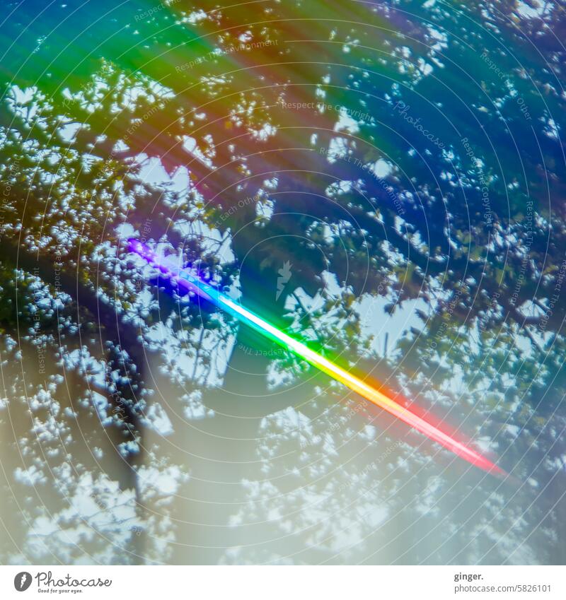 Buntes Leuchten im Geäst - Fotografie mit Prismen und Filtern Spektralfarben Prisma Licht Außenaufnahme Kontrast irreal Lichtspektrum blau grün gelb aquamarin