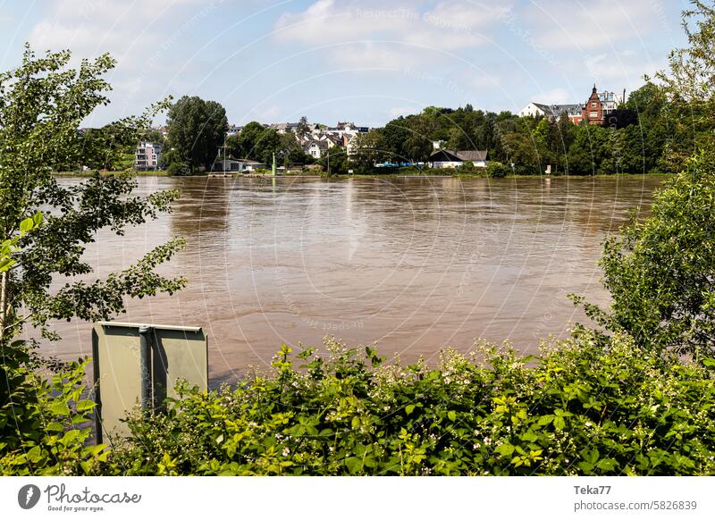 die mosel mit hochwasser bei koblenz deutschland Mosel mosel koblenz deutsche Stadt deutscher Fluss Hochwasser mosel hochwasser Gefahr Regen Klimawandel