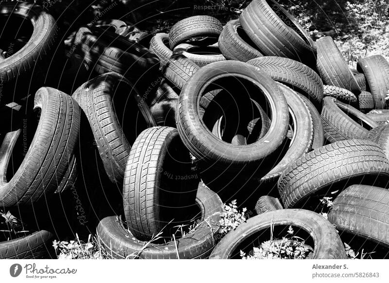 Altreifen in der Natur Autoreifen alte Autoreifen Gummireifen Reifen Müll Umweltverschmutzung schwarz Reifenprofil entsorgen dreckig Strukturen & Formen