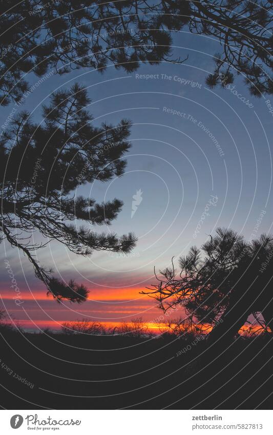 Hiddensee - Sonnenuntergang mit Ober- und Unterkiefer abend ausblick aussicht farbe feierabend ferien ferne frühling grieben hiddensee horizont insel kloszer