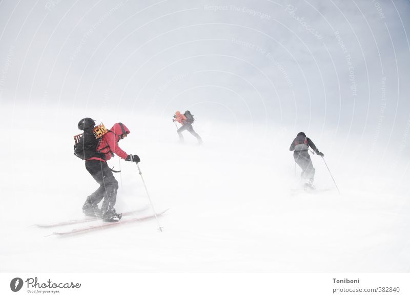 Gegenwind Abenteuer Sport Wintersport Klettern Bergsteigen Skifahren Mensch 3 18-30 Jahre Jugendliche Erwachsene Sturm Schnee Berge u. Gebirge Lyngen-Alpen