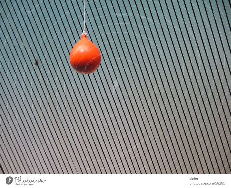 fang mich Nürnberg Tiergarten Delphinarium rot Decke Lagerhalle Ball Linie Strukturen & Formen