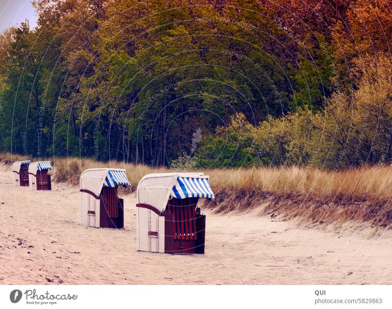 Strandkörbchen am Abend Strandkorb Strandkörbe Sand Ostsee Meer geschlossen Saison Stimmung Licht Küste Ferien & Urlaub & Reisen Tourismus Erholung Insel