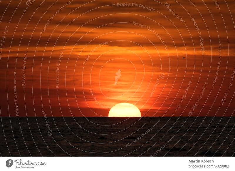 Sonnenuntergang am Horizont der Ostsee. Die orangefarbene Sonne versinkt im Wasser. Romantisch Sonnenstrahlen Sonnenschein Reflexion & Spiegelung wellig Küste