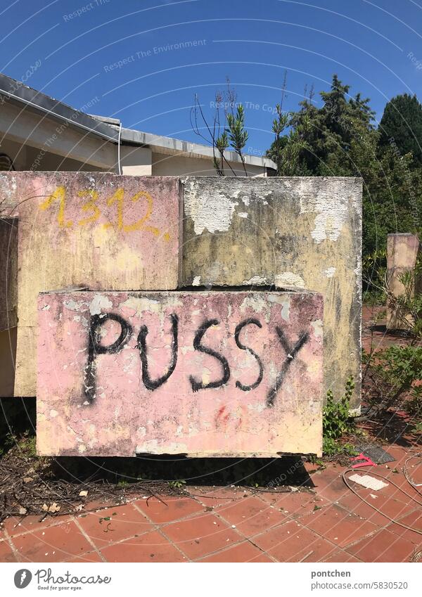 Pussy steht auf einem Teil eines verfallenen Gebäudes. pussy dirty talk sexualität vagina schmiererei abfällig sexuell lost place dreckig zahlen vulva