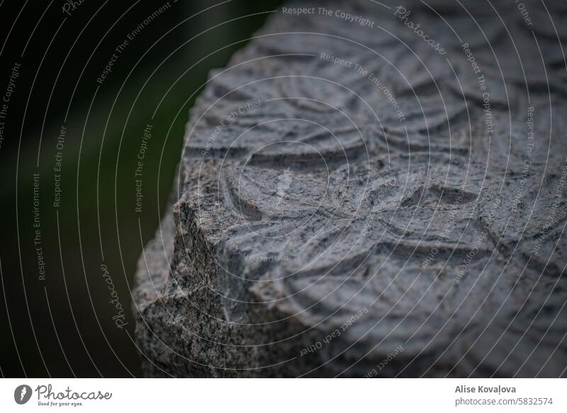 geschnitzte Blätter in Granit Stein Textur behauen Blatt grau Felsen Material texturiert