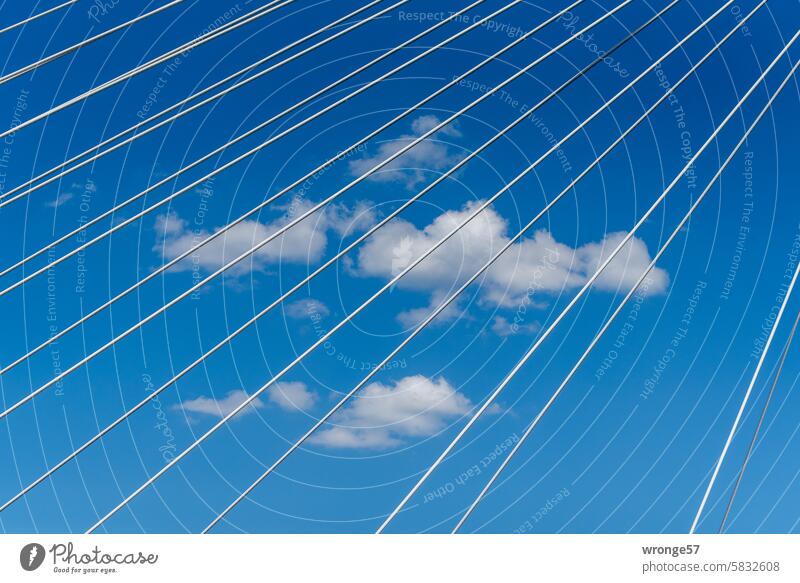 Schönwetterwolken hinter Brückenseilen Schönes Wetter weiße Wolken Blauer Himmel Außenaufnahme Farbfoto Tag Pylonenbrücke Halteseile Drahtseile