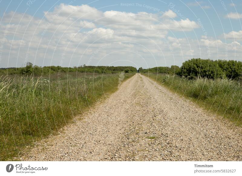 Der Weg lohnt sich Wege & Pfade Schotterweg Landschaft gerade lang eben Natur Gräser Gebüsch grün Himmel Wolken Schönes Wetter Dänemark