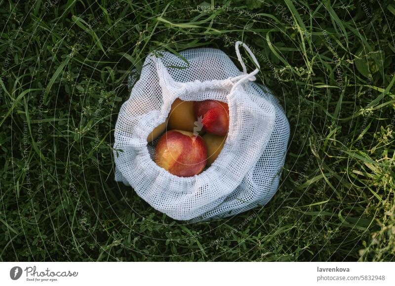 Wiederverwendbare Netztasche mit Nektarinen und Pfirsichen auf grünem Gras, Zero-Waste-Konzept für den Lebensmittelhandel Lifestyle Gesundheit organisch