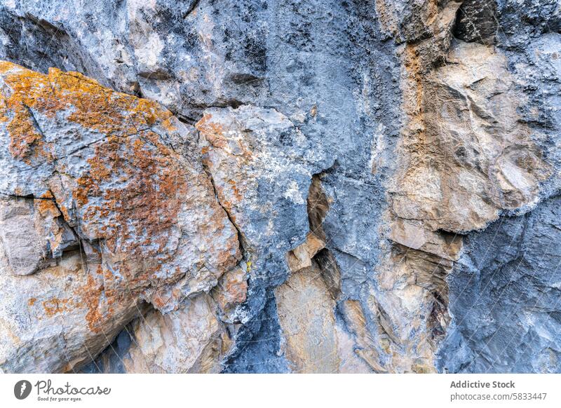 Texturierte Felsoberflächen im Valle de Liebana, Kantabrien Felsen Oberfläche mehrfarbig Flechten geologisch Vielfalt Nahaufnahme Spanien Natur Detailaufnahme