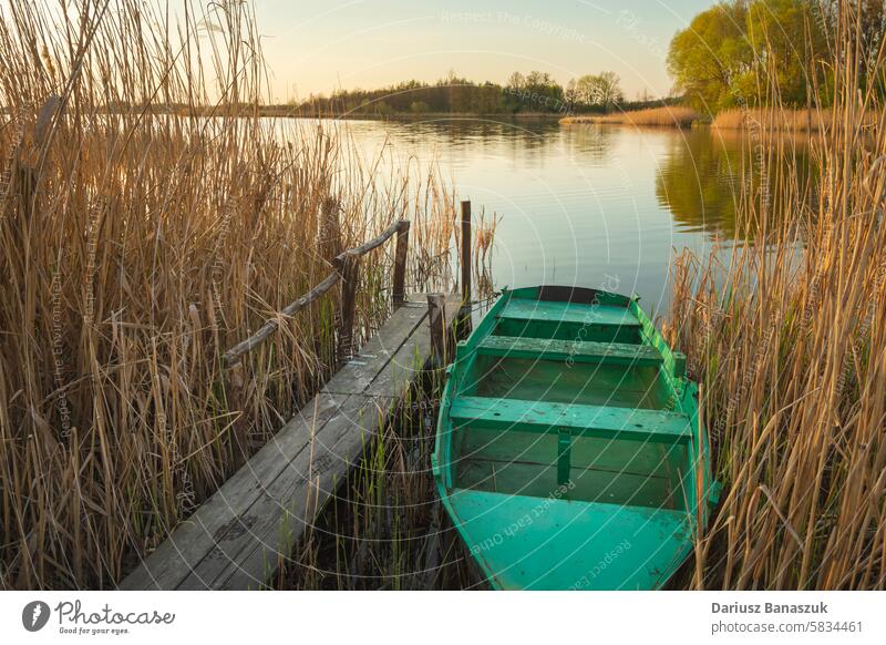 Altes Fischerboot im Schilf des Sees vertäut Boot Natur Wasser Fischen alt Hintergrund Schilfrohr grün Gras reisen Ufer Holz Landschaft Fluss Sommer Himmel