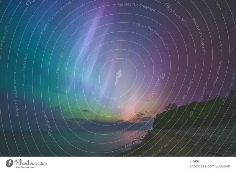 Ostseeküste und Aurora Borealis Polarlichter Nordlichter Himmel Nacht Leuchten astronomisch Astronomie Natur grün Licht Nachthimmel leuchten Stern Landschaft