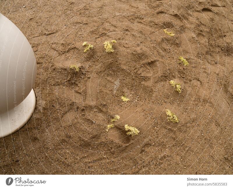 Sandstrand mit rundem Sitzei im Anschnitt und eingegrabenen blühenden Pflanzen Strand Ei eiförmig verbuddelt Ferien & Urlaub & Reisen Meer Sommer Erholung