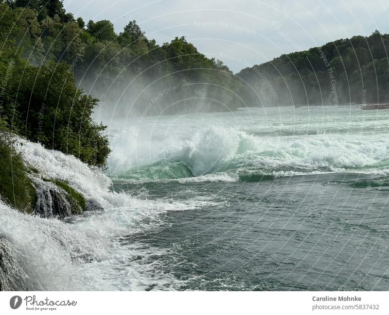 Die Wucht des Wassers am Rheinfall Neuhausen am Rheinfall Außenaufnahme Farbfoto Wasserfall Natur Menschenleer Fluss Urelemente Umwelt Landschaft Tag nass