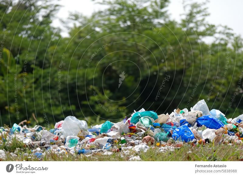 Abfälle. Abfälle. Müll in der Natur. Gruppe von freiwilligen Umweltschützern, die Plastikmüll im Park aufsammeln. Aktivisten, die Müll sammeln, um den Planeten zu schützen, Verschmutzung zu vermeiden und die Umwelt zu retten. Basuraleza.